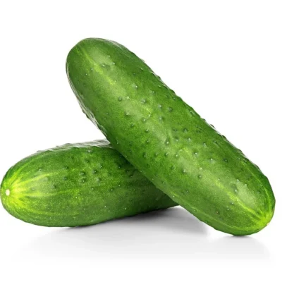 Concombre