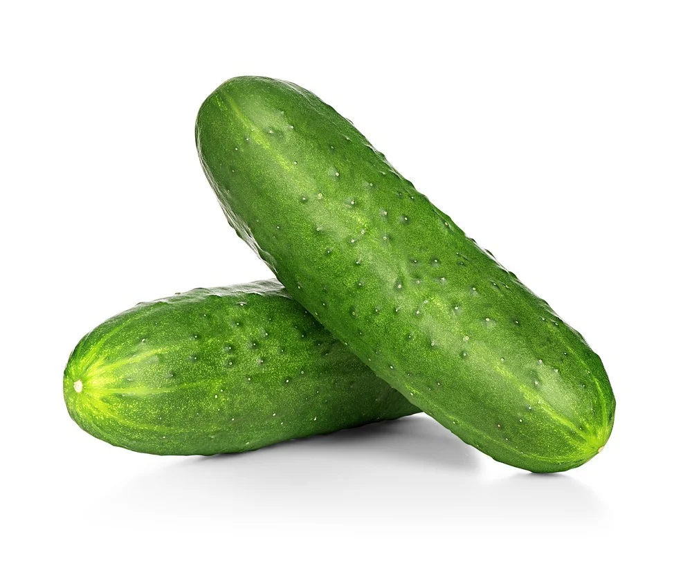 Concombre